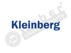 Kleinberg_650x488.jpg